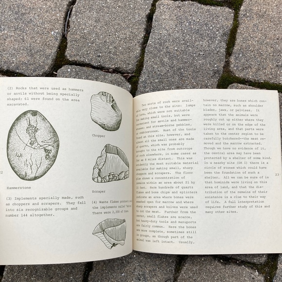 1972 Nutcracker Man Education Developments Hominid Fossil Caveman Apes Sciences - Picture 3 of 10